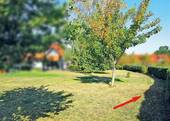 1.JPG - Ein Stück Garten im Innenbereich von Goslar-Weddingen provisionsfrei kaufen