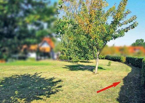 1.JPG - Ein Stück Garten im Innenbereich von Goslar-Weddingen provisionsfrei kaufen