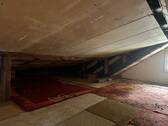 IMG_4417.jpeg - 