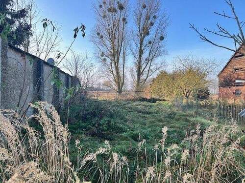 Grünfläche zum Nachbarn - 