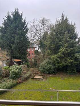 Blick in den Garten - 