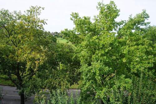 Aussicht - Tolle Aussicht ins Grüne - 219.000,00&nbsp;EUR Kaufpreis, ca.&nbsp; 58,00&nbsp;m&sup2;&nbsp;Wohnfl&auml;che