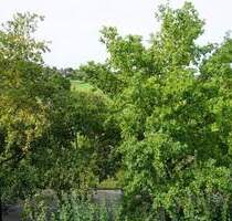 Tolle Aussicht ins Grüne - 219.000,00&nbsp;EUR Kaufpreis, ca.&nbsp; 58,00&nbsp;m&sup2;&nbsp;Wohnfl&auml;che in Kirchheim Teck (PLZ: 73230)