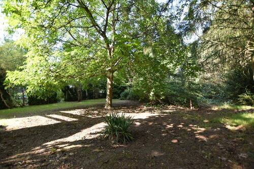 Bild 2 - Grundstück zum Kaufen in Schwielowsee