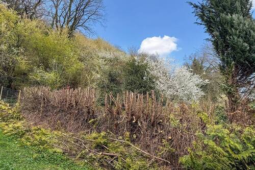 Blick auf das Grundstück - Grundstück in Trier zum Kaufen