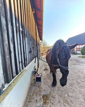 Bewohner - 1 Zimmer Mehrfamilienhaus, Wohnhaus zum Kaufen in Lichtenfels