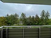 IMG_1769.JPG - 