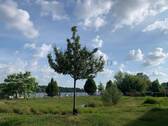 Blick aufs Wasser - 