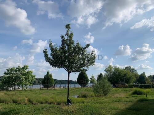 Blick aufs Wasser - 