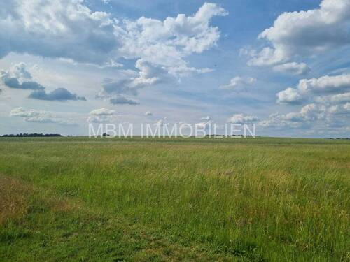 Bild 8 - 