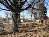 IMG_20220308_141354 - Kopie - 