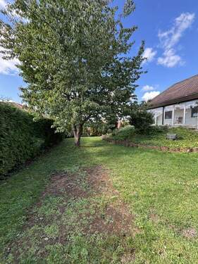 Garten - 8 Zimmer Einfamilienhaus in Scheßlitz