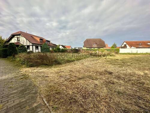 Bild III - Grundstück in Dahme/Mark zum Kaufen