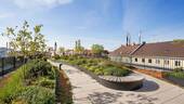 comN Dachterrasse - 