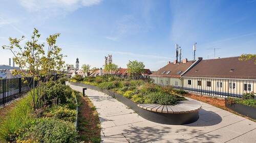 comN Dachterrasse - 