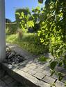 IMG_2149 - 