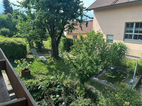 Teich hinter dem Haus - 