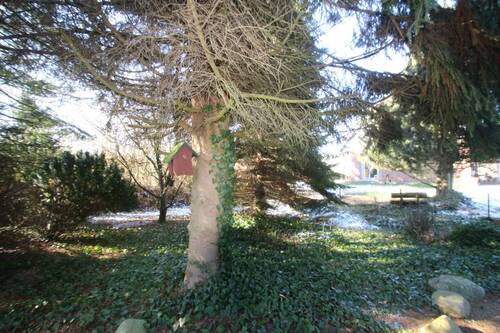 Das Grundstück hinter dem Nebengebäude - 