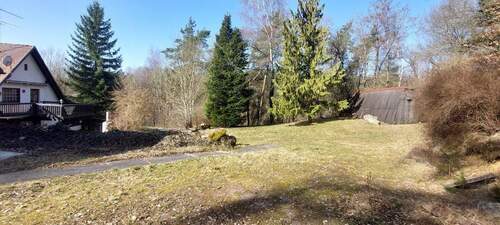 Park - Garten - 