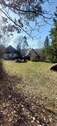 Park - 