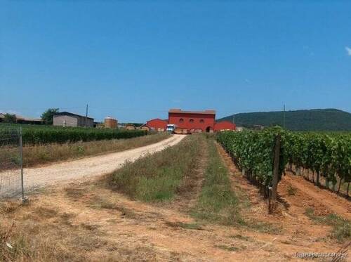Bild 1 - Weingut in der Toscana bei Orbetello