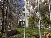 diese Gartenfläche gehört zutr Wohnung.jpg - 