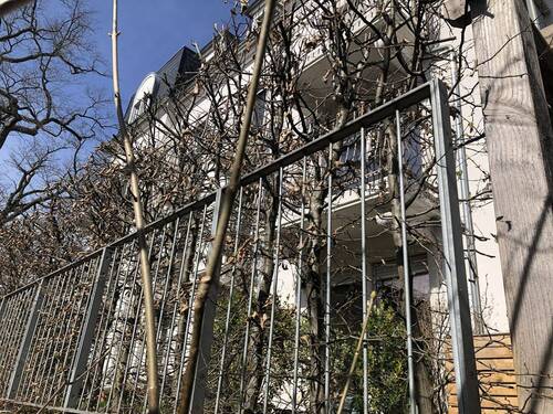 Hecke als Sichtschutz im Sommer.jpg - 