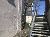 Treppe außen.jpg - 