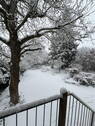 Blick in den Garten - 
