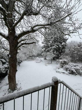 Blick in den Garten - 