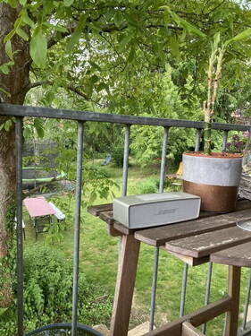 Blick in den Garten - 