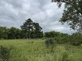 Blick in die Gartenstadt - 
