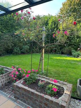 IMG_7396 - Kopie - Kopie.jpeg - 