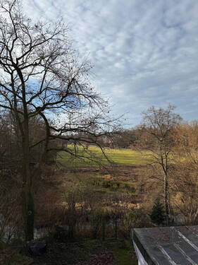 Blick vom Balkon ins Grüne - 