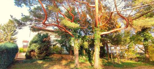 1762172079988.jpg - TOP LAGE IM BESTANDSWOHNGEBIET TRAUMHAFTEN GARTEN MIT SÜDAUSRICHTUNG IN SCHESSLITZ