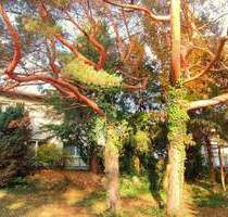 TOP LAGE IM BESTANDSWOHNGEBIET TRAUMHAFTEN GARTEN MIT SÜDAUSRICHTUNG IN SCHESSLITZ - Scheßlitz