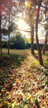 1762172079808.jpg - 4 Zimmer Einfamilienhaus in Scheßlitz