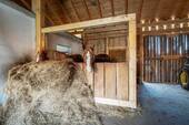 Pferdestall - 