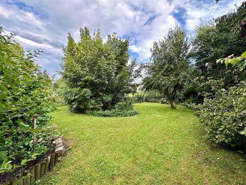 Blick in den Garten - 