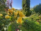 Bild 8 - 