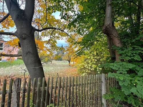 Grundstück - Grundstück in Waltershausen