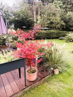 Terrasse Sommer II - 