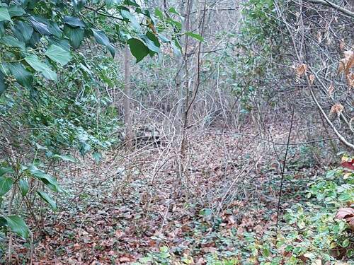 Gartenbereich - Grundstück in Hamburg zum Kaufen