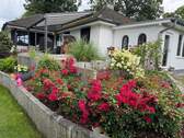 Bild 13 - 