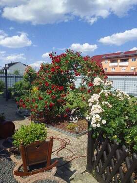 Rosenbeet - Mehrfamilienhaus, Wohnhaus mit 198,00 m&sup2; in Hambrücken zum Kaufen