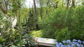 IMG_6988.JPG - Berlin-Grunewald, beste Lage im EG (zur Waldseite 1.OG durch Hanglage) mit großer Süd-Terrasse und herrlichem Blick in die Natur - Einzelgarage