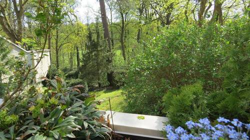 IMG_6988.JPG - Berlin-Grunewald, beste Lage im EG (zur Waldseite 1.OG durch Hanglage) mit großer Süd-Terrasse und herrlichem Blick in die Natur - Einzelgarage