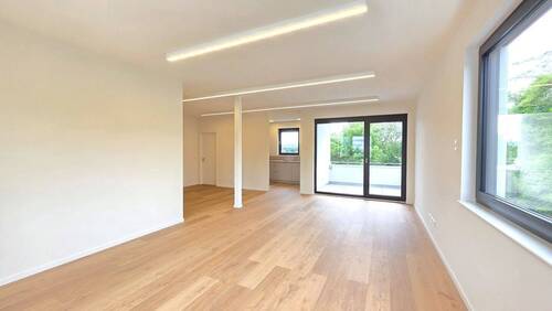 Bild 11 - 