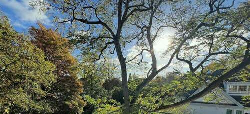 Bild 3 - Büro in Köln