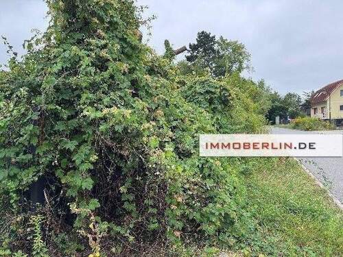 Mailing Bild 1.jpg - 